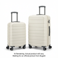 2 Pcs Luggage Set (Carry-On & 28") - ABS